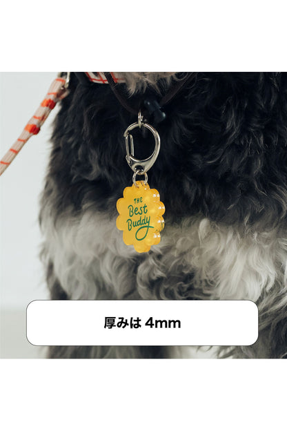 <inuno. × TheTENT> Halloween Charm