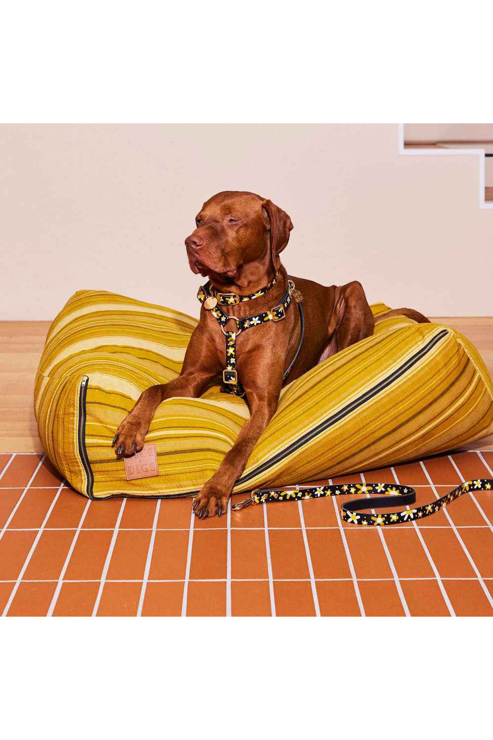 NICE DIGS POSIE DOG LEASH