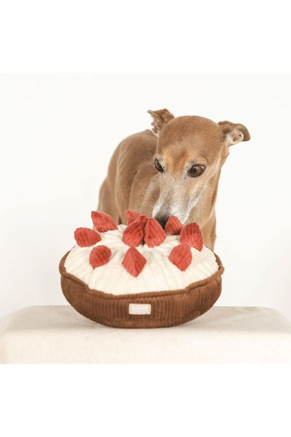 Lambwolf Collective BERRY PIE