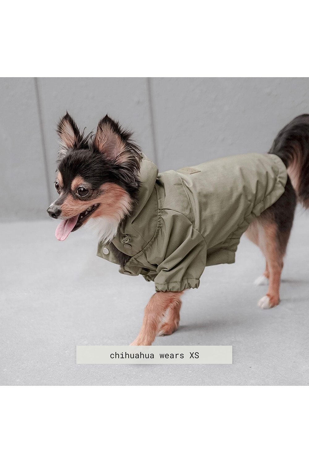 Lambwolf Collective BROOKLYN Raincoat