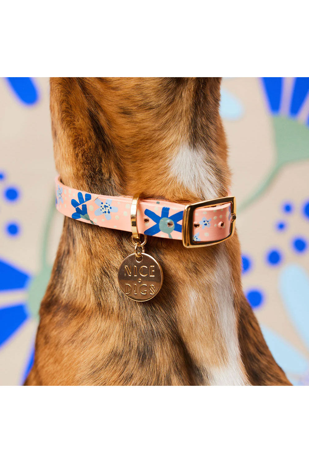 NICE DIGS POSIE DOG COLLAR