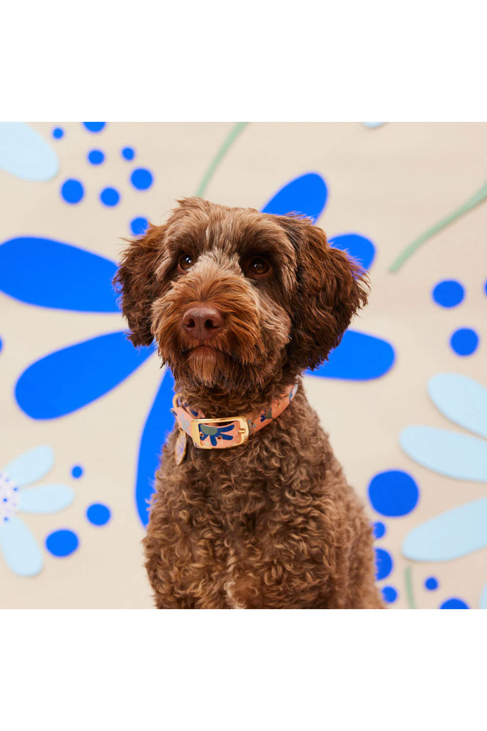 NICE DIGS POSIE DOG COLLAR