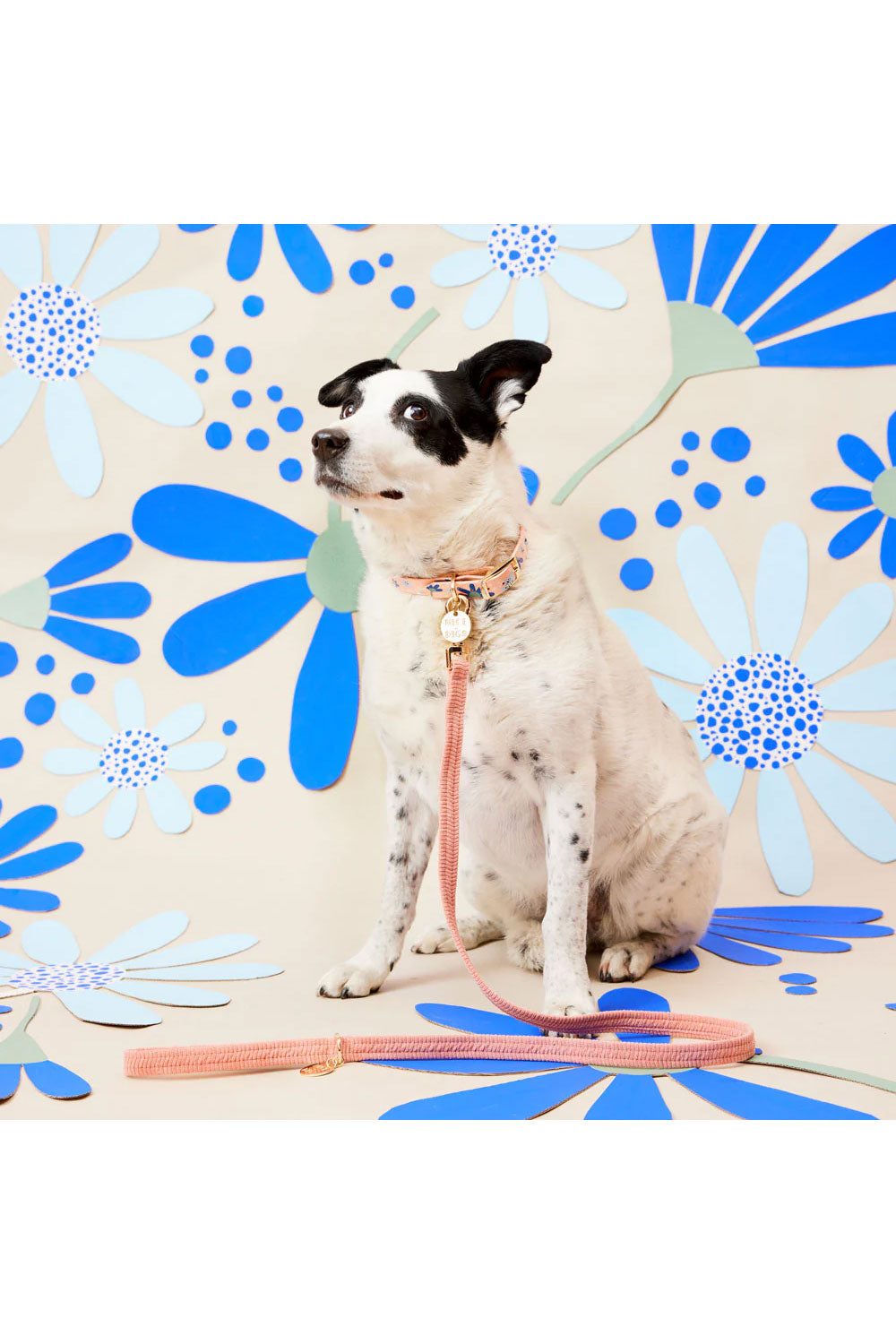 NICE DIGS POSIE DOG COLLAR