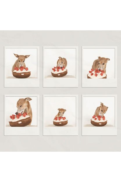 Lambwolf Collective BERRY PIE