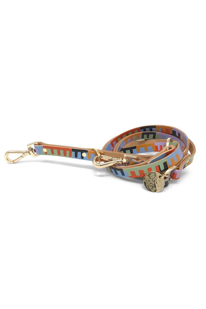 NICE DIGS LEVEL UP ADJUSTABLE DOG LEASH