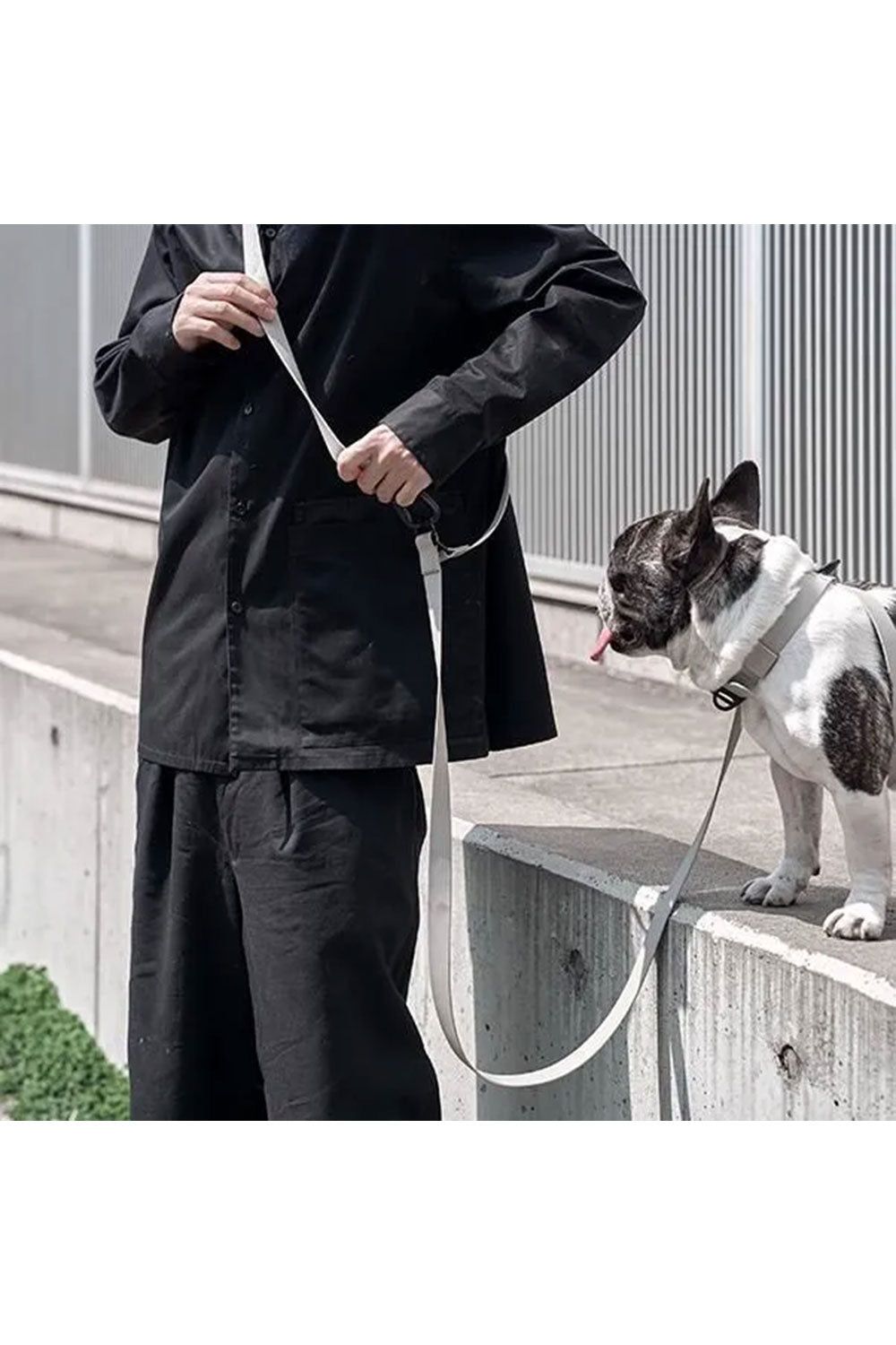 lambwolf collective グレー ハーネス リード セット Lambwolf Collective WATERPROOF SHOULDER LEAD abu edition – The