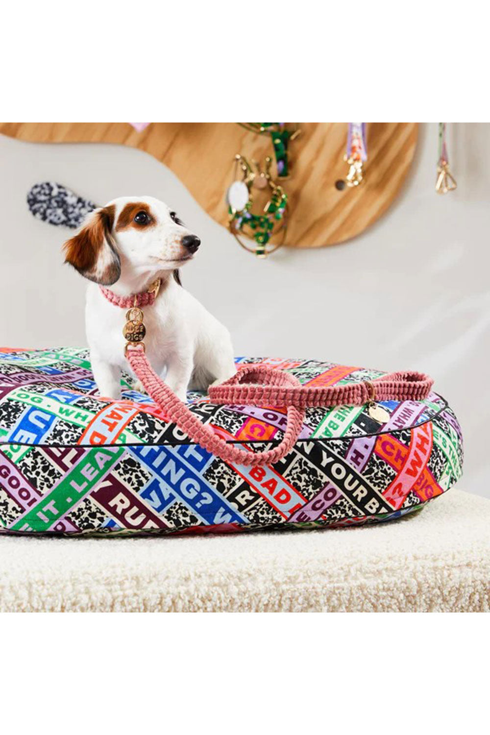 NICE DIGS JUMBO CORD LEASH