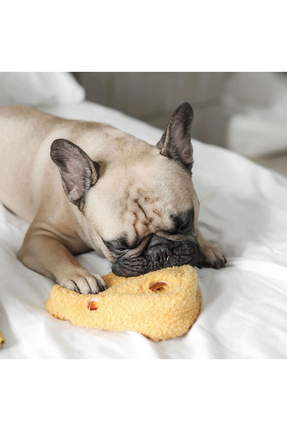 Lambwolf Collective FROMAGE