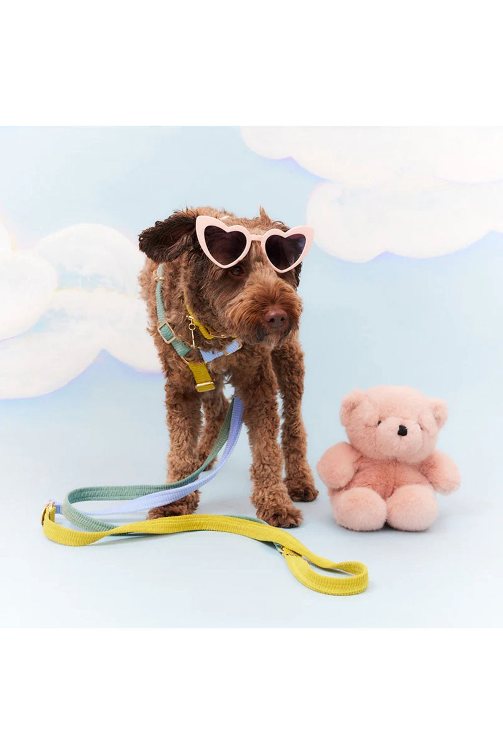 NICE DIGS CORD ADJUSTABLE DOG LEASH