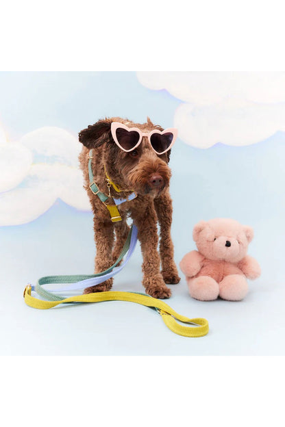 NICE DIGS CORD ADJUSTABLE DOG LEASH