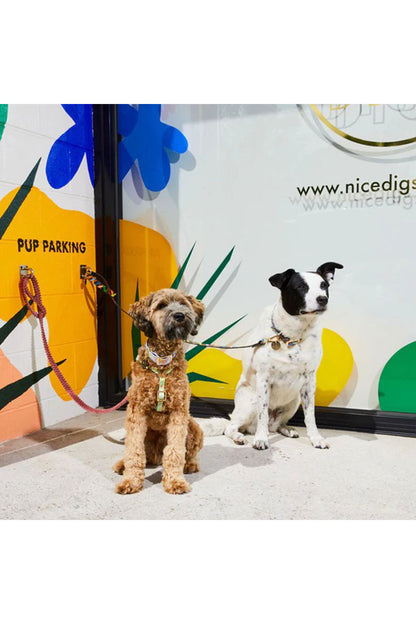 NICE DIGS JUMBO CORD LEASH