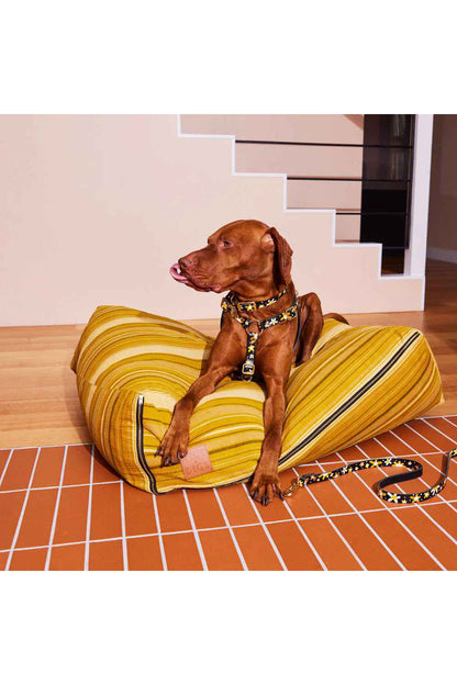 NICE DIGS POSIE DOG CALLAR