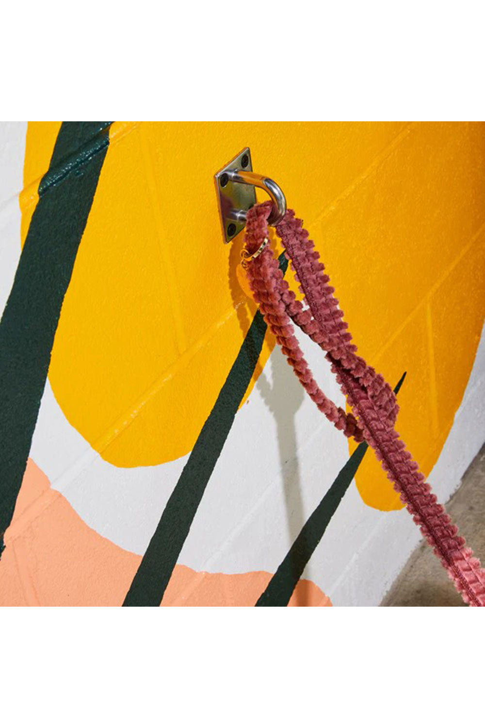 NICE DIGS JUMBO CORD LEASH