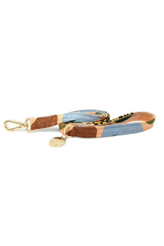 NICE DIGS BOULDER CANYON DOG LEASH