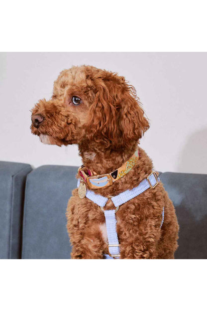 NICE DIGS SNAKES AND LADDERS LEATHER DOG COLLAR