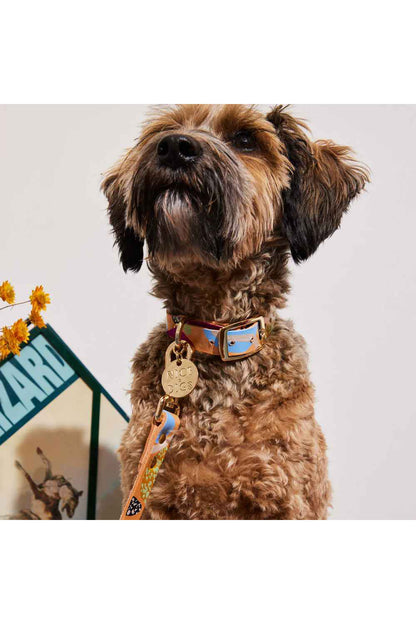 NICE DIGS SNAKES AND LADDERS LEATHER DOG COLLAR