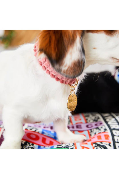 NICE DIGS JUMBO CORD DOG COLLAR