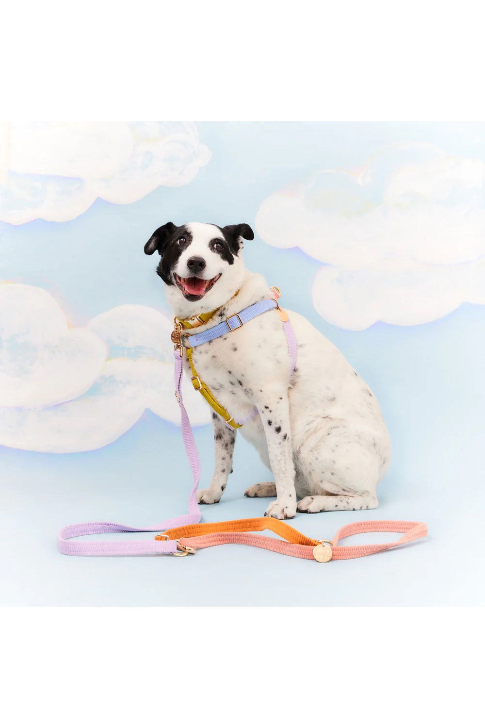 NICE DIGS CORD ADJUSTABLE DOG LEASH