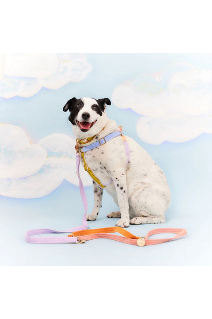 NICE DIGS CORD ADJUSTABLE DOG LEASH