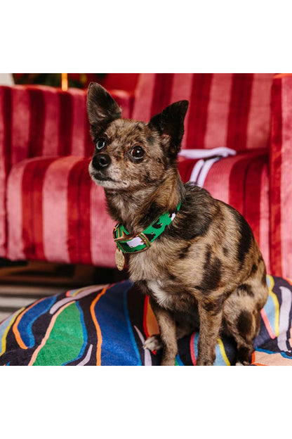 NICE DIGS ANIMAL DOG COLLAR