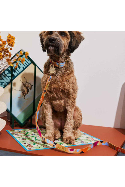 NICE DIGS SNAKES AND LADDERS LEATHER DOG LEASH
