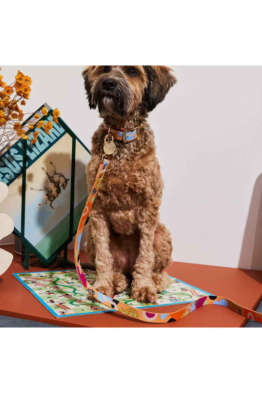NICE DIGS SNAKES AND LADDERS LEATHER DOG LEASH