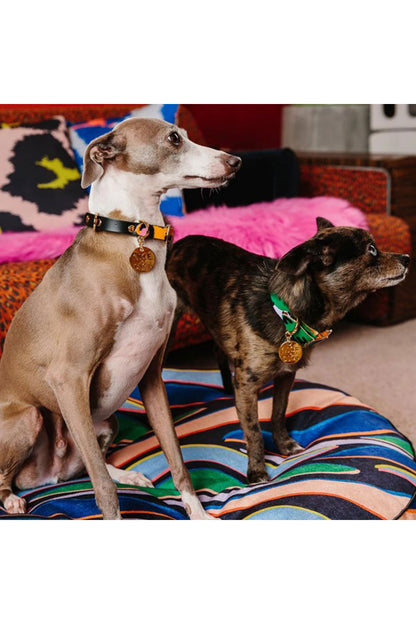 NICE DIGS ANIMAL DOG COLLAR