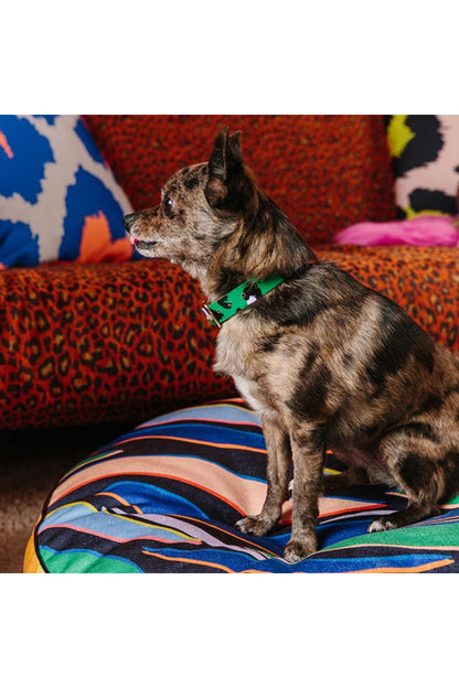 NICE DIGS ANIMAL DOG COLLAR