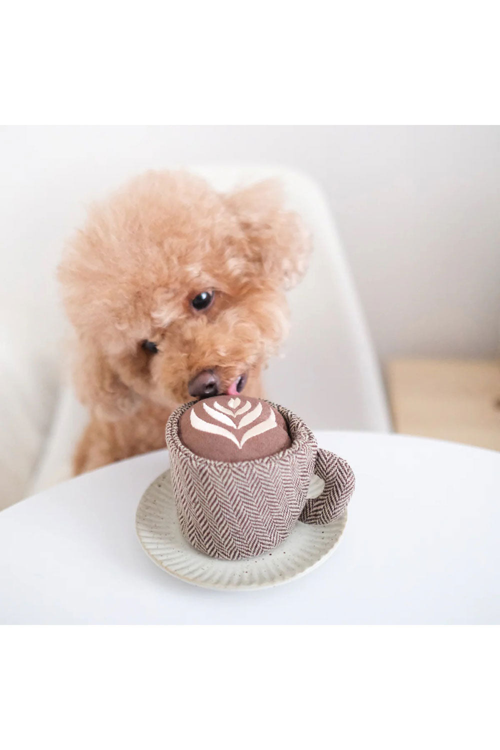 Lambwolf Collective LATTE POP