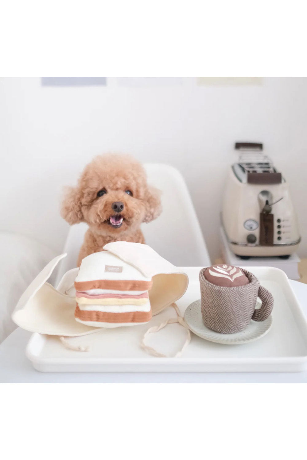 Lambwolf Collective LATTE POP