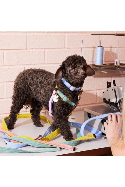 NICE DIGS CORD NON-PULL DOG HARNESS
