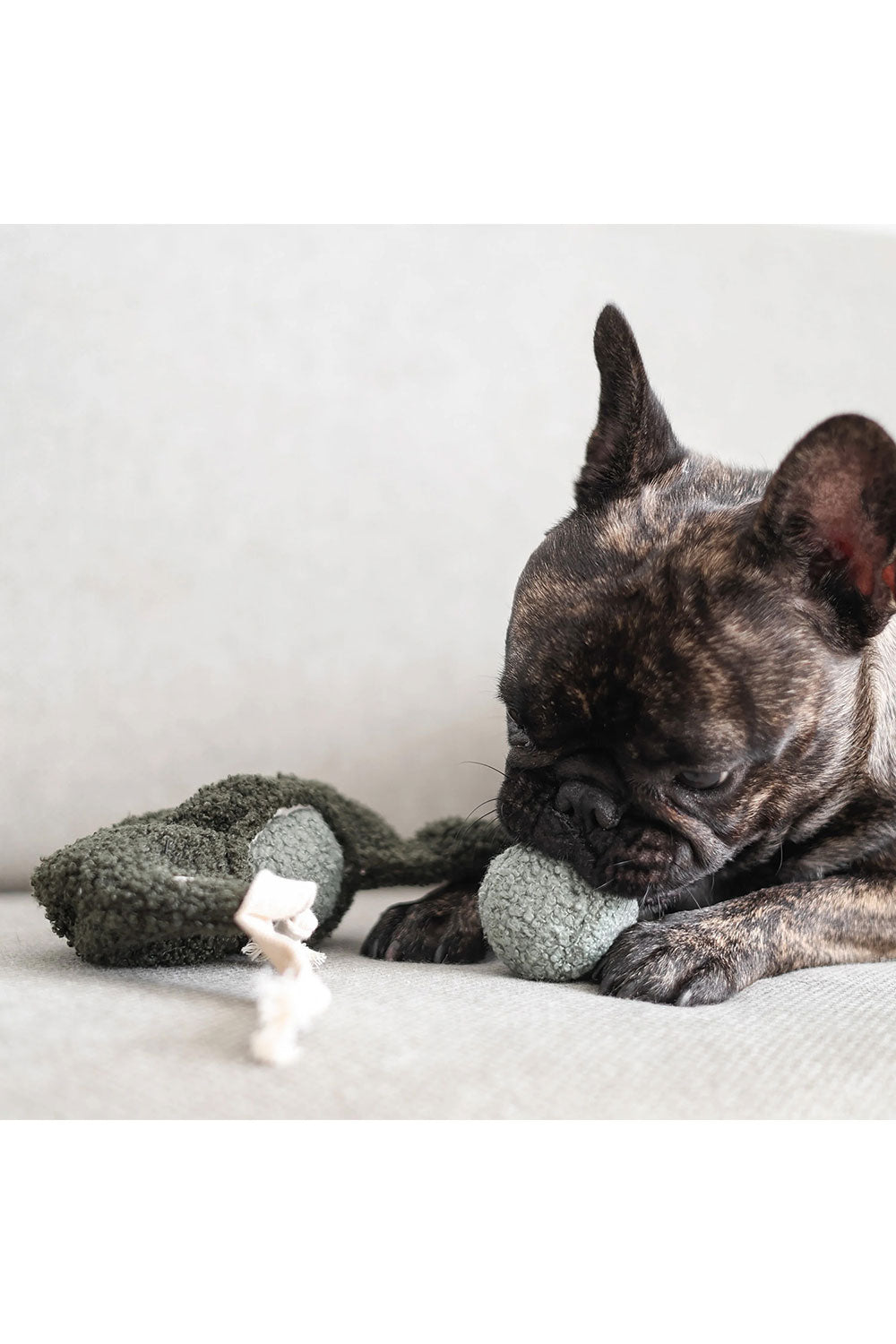 Lambwolf Collective PEA POP