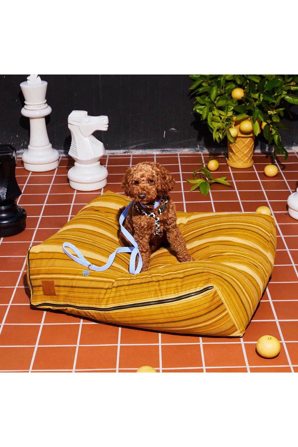 NICE DIGS CORD DOG LEASH