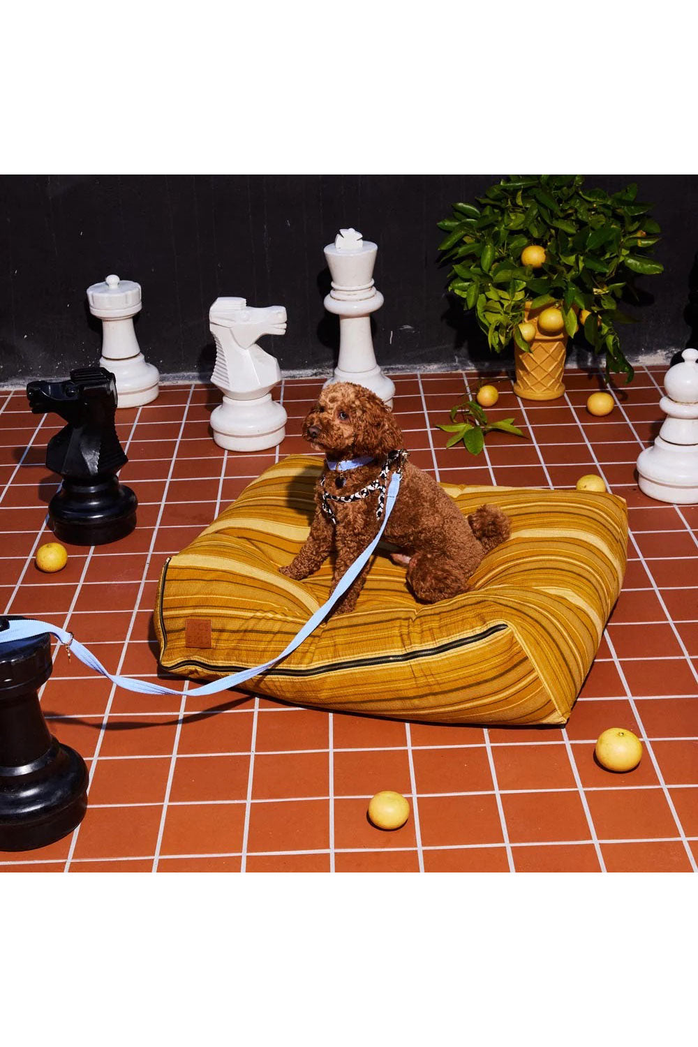 NICE DIGS CORD DOG LEASH