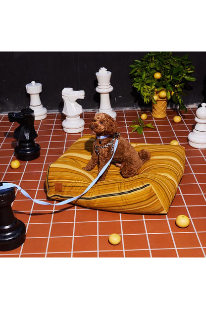 NICE DIGS CORD DOG LEASH