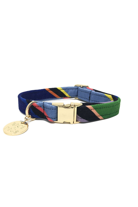 NICE DIGS EASY TIGER PRINTED DOG COLLAR