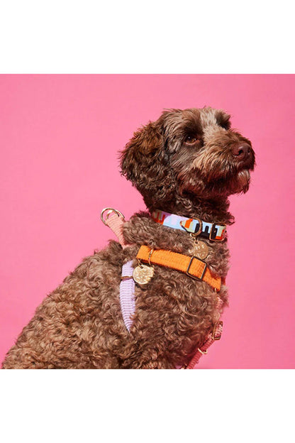 NICE DIGS CORD NON-PULL DOG HARNESS