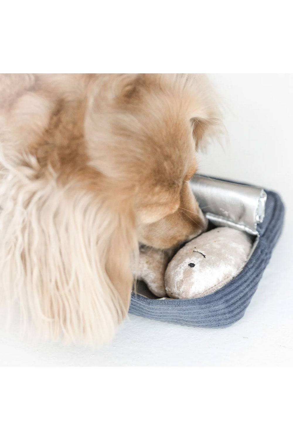 Lambwolf Collective SARDINES