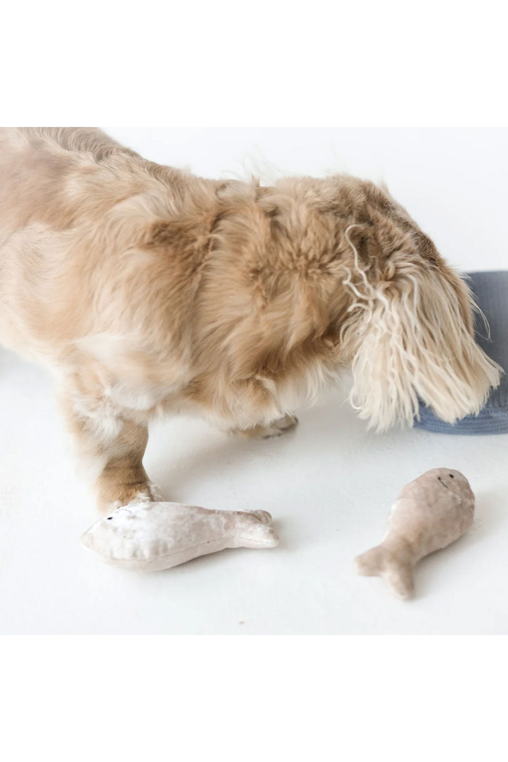 Lambwolf Collective SARDINES