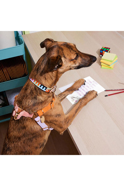 NICE DIGS CORD NON-PULL DOG HARNESS