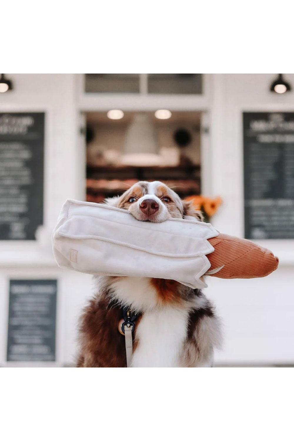 Lambwolf Collective BAGUETTE