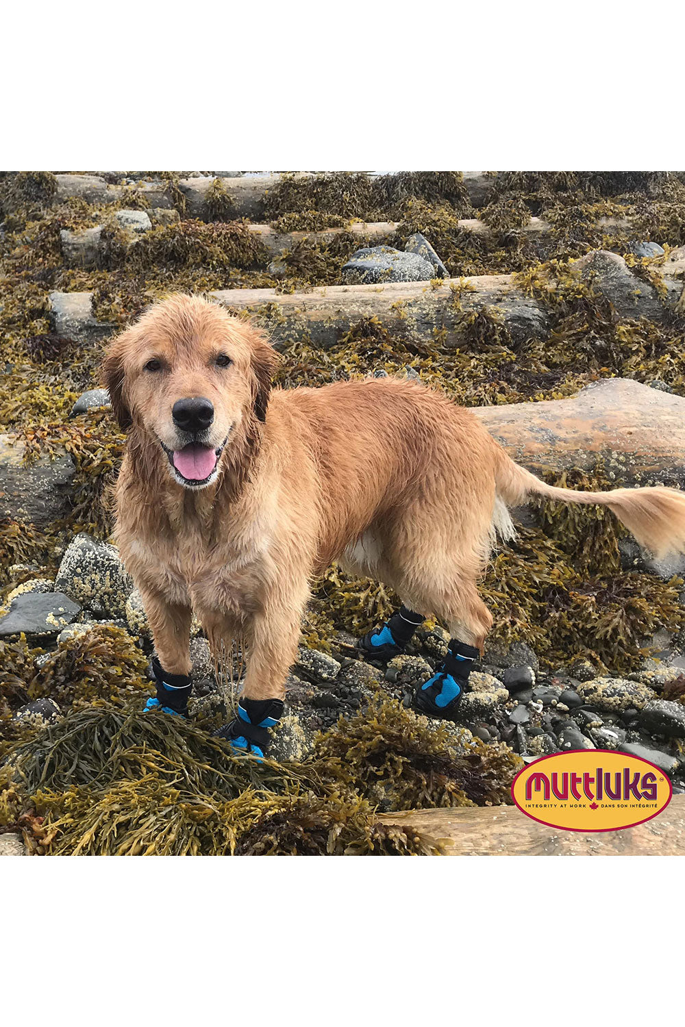Muttluks Mud Monsters