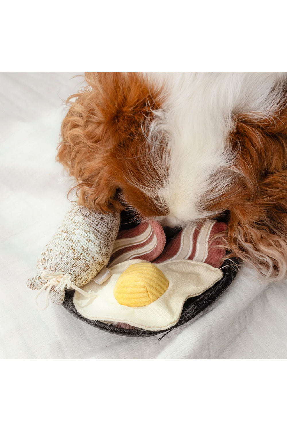 Lambwolf Collective BFAST SET