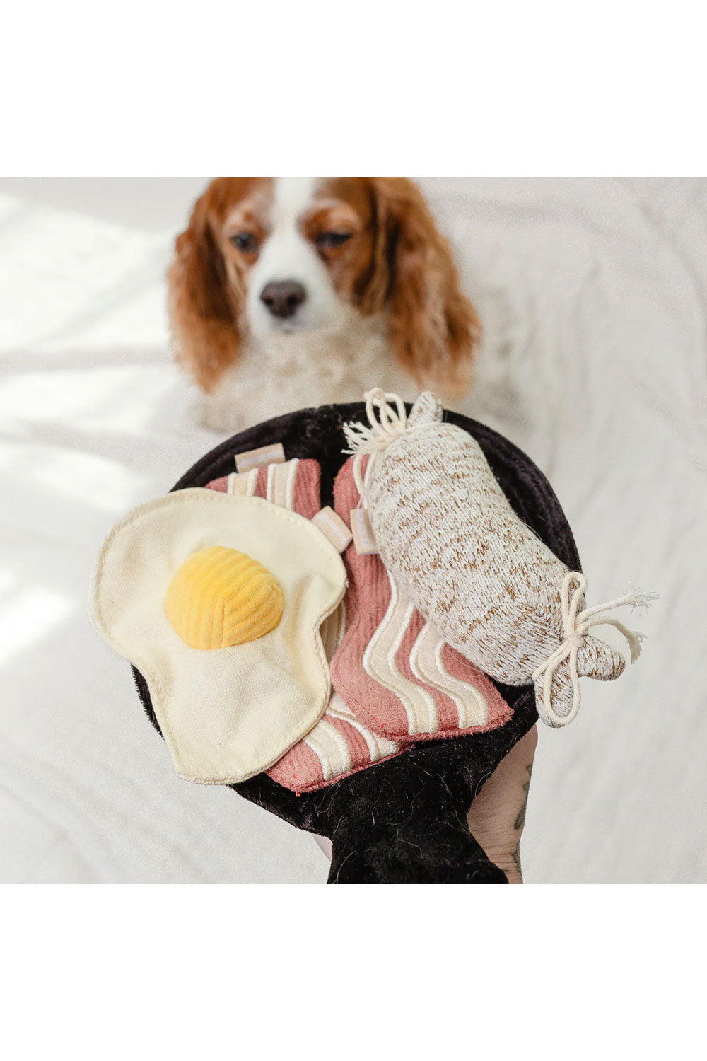 Lambwolf Collective BFAST SET