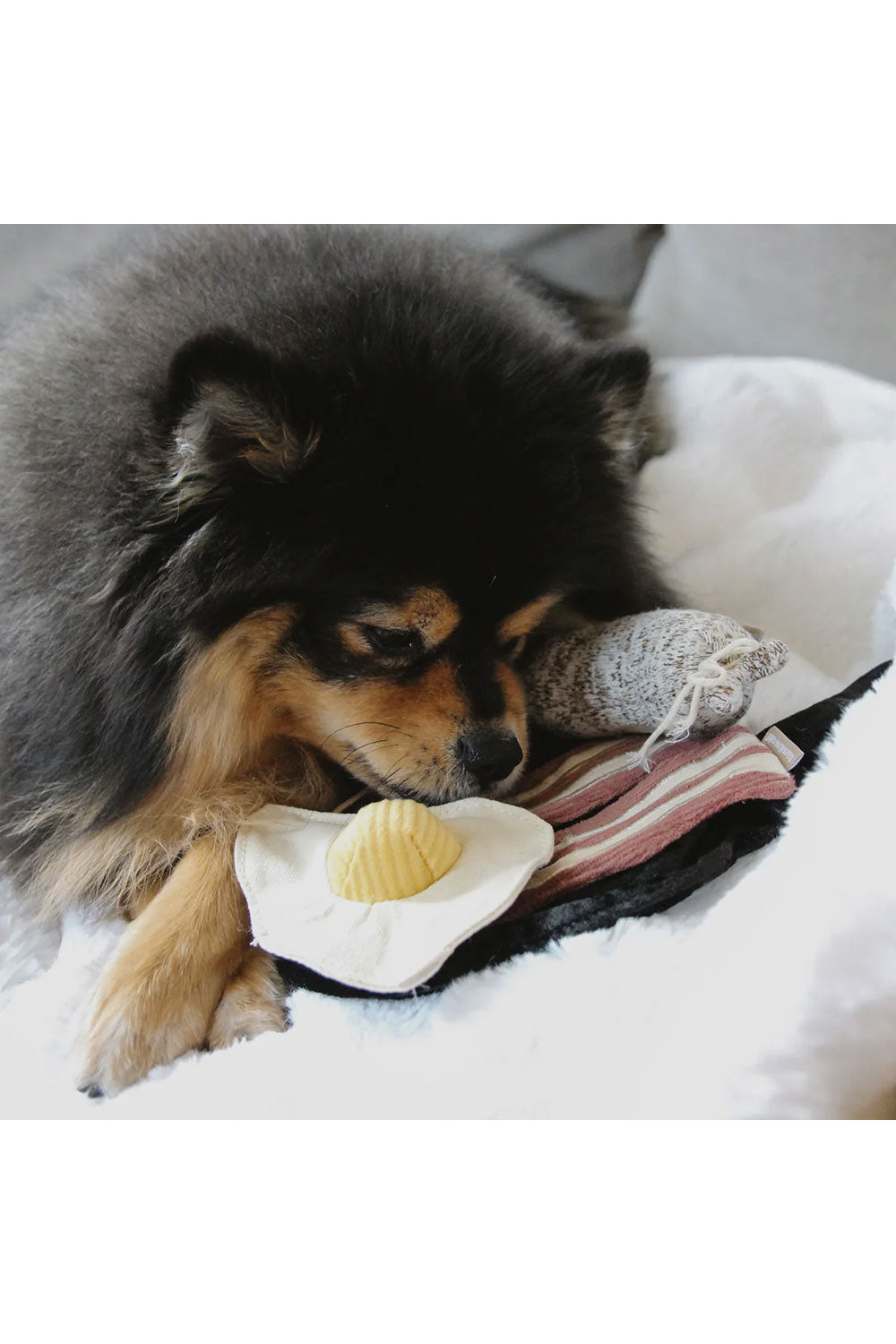 Lambwolf Collective BFAST SET