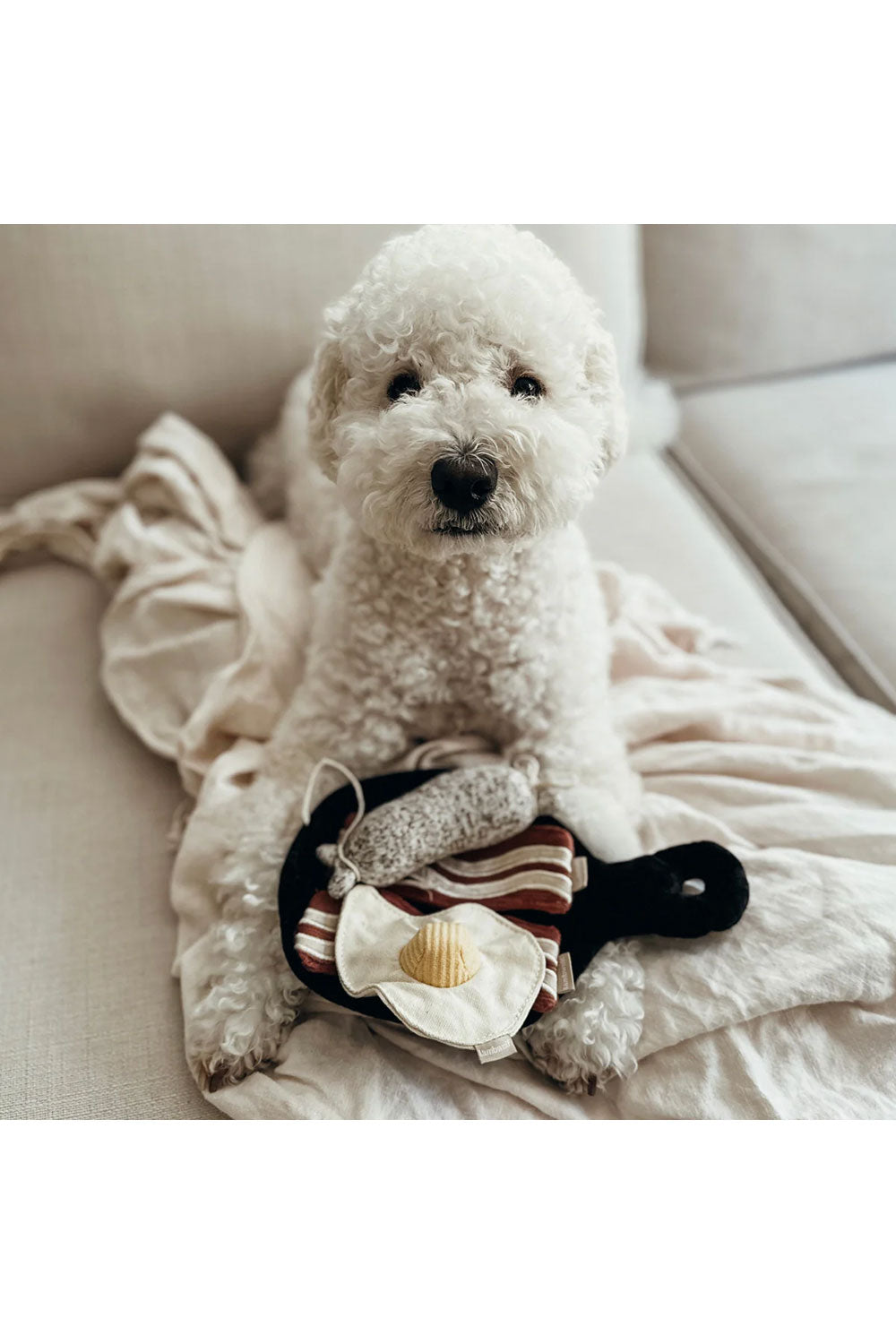 Lambwolf Collective BFAST SET