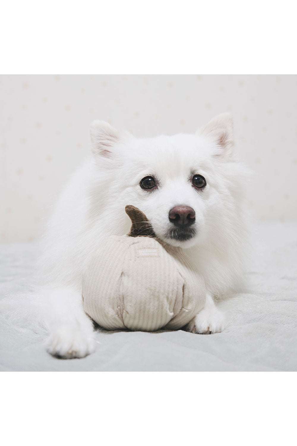 Lambwolf Collective BOO