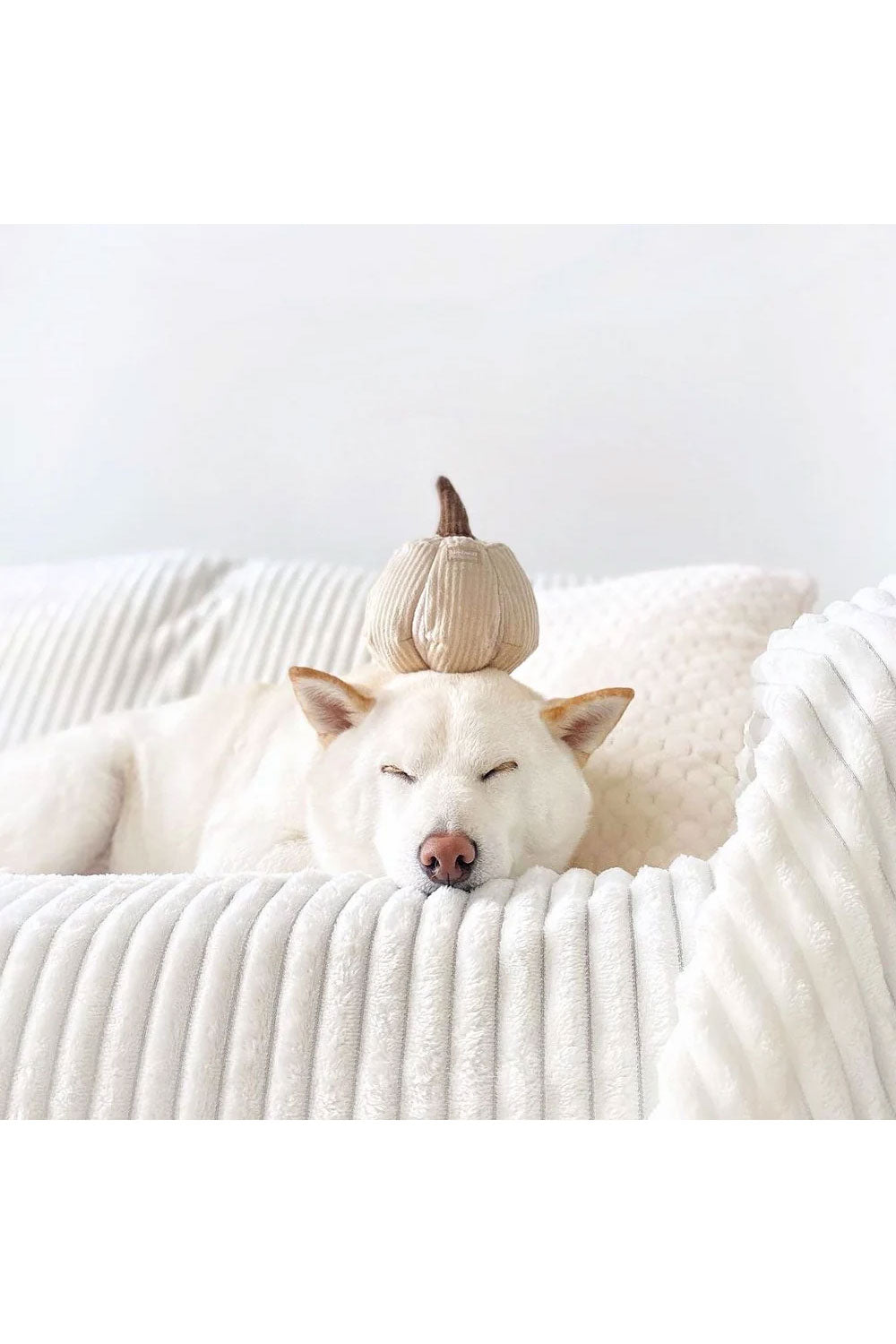 Lambwolf Collective BOO