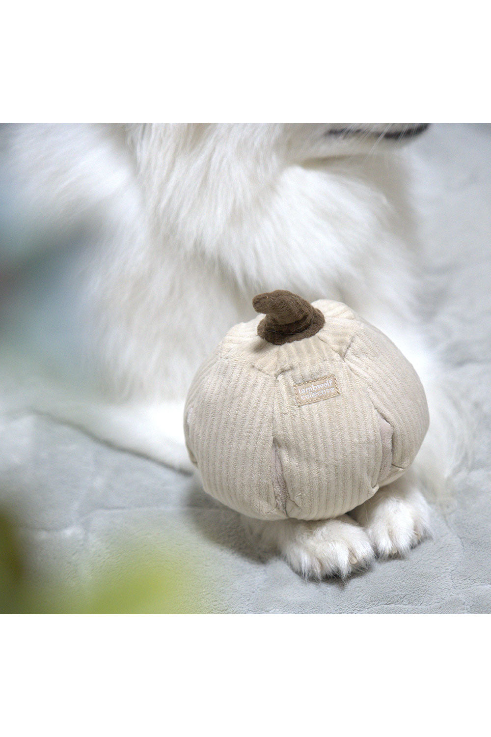 Lambwolf Collective BOO