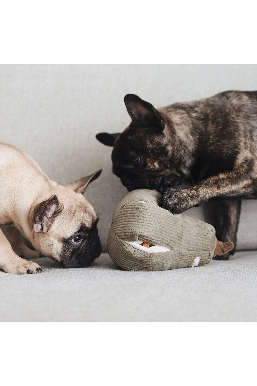 Lambwolf Collective BUTTERNUT